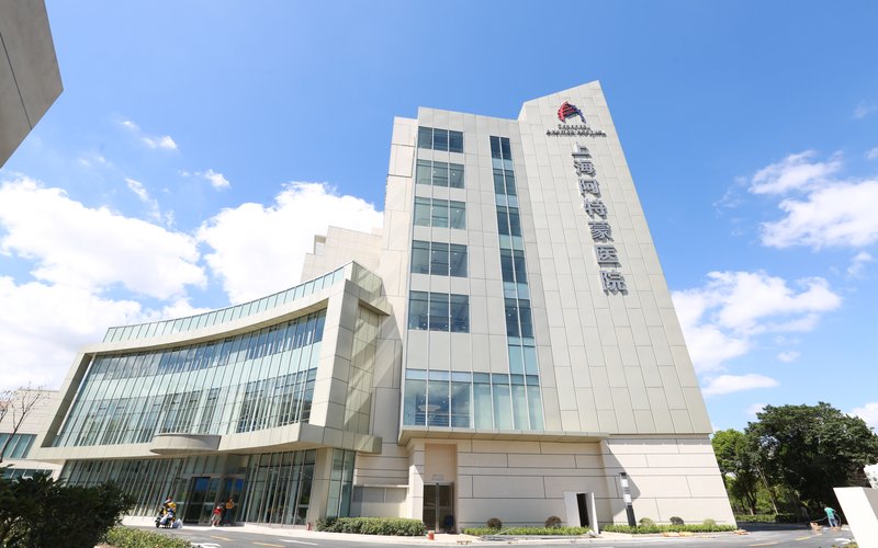 Shanghai Artemed Hospital